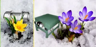 NetterVibration Polska wibratory NetterVibration Polska wibratory