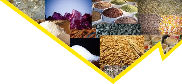 NetterVibration Polska przetwarzanie materiałów sypkich z wibracją NetterVibration Polska przetwarzanie materiałów sypkich z wibracją