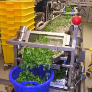 NetterVibration Polska zastosowania wibratorów - Podawanie NetterVibration Polska zastosowania wibratorów - Podawanie