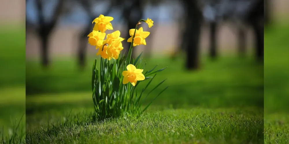 NetterVibration Polska wesołych Swiąt Wielkanocnych 2020!